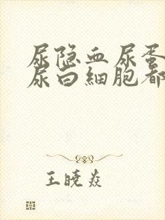 尿隐血尿蛋白质尿白细胞都高