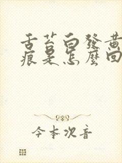 舌苔白发黄有齿痕是怎么回事