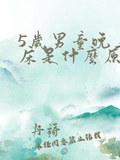 5岁男童晚上尿床是什么原因