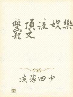 双顶流娱乐圈甜宠文