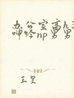 办公室高h荡肉呻吟np男男