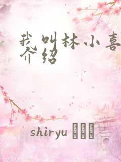 我叫林小喜小说介绍