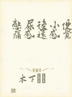 憋尿后小便有刺痛感还感觉尿不干净吃什么药