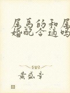 属马的和属猴的婚配合适吗