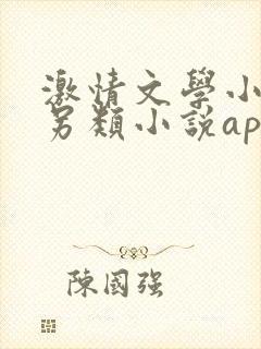 激情文学小说区另类小说app