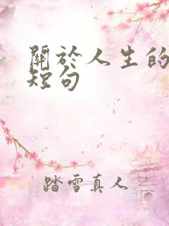 关于人生的感悟短句