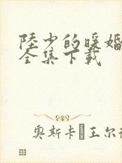 陆少的暖婚新妻全集下载