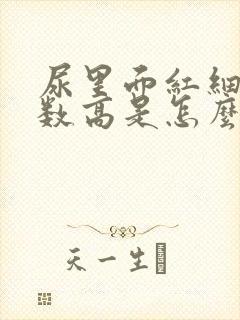 尿里面红细胞计数高是怎么回事