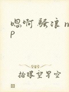 嗯啊 骚浪 np