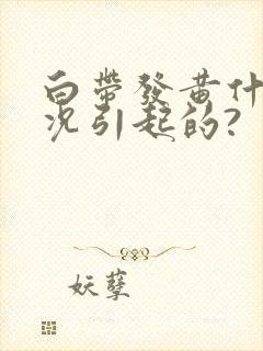 白带发黄什么情况引起的?