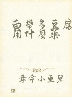 白带多豆腐渣样用什么药