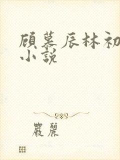 顾慕辰林初荔的小说