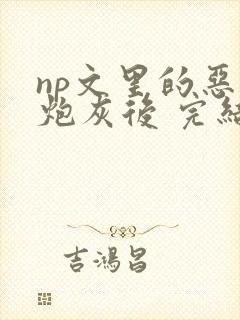 np文里的恶毒炮灰后 完结 番外