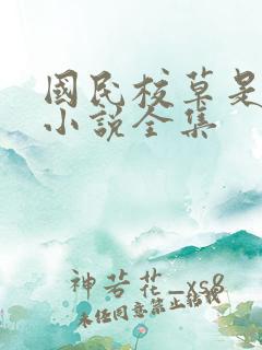 国民校草是女生小说全集