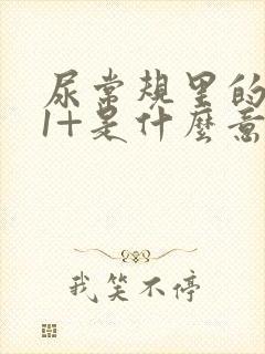 尿常规里的隐血1+是什么意思