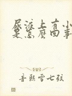 尿液上有小泡泡是怎么回事