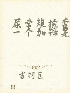 尿常规检查隐血一个加号是什么意思