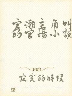 官潮主角叫周欢的官场小说