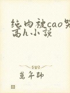 纯肉被cao哭高h小说