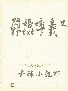 闪婚娇妻又甜又野txt下载