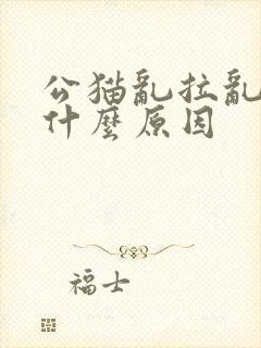 公猫乱拉乱尿是什么原因