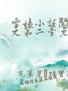 雪姨小说阅读全文第二章免费阅读