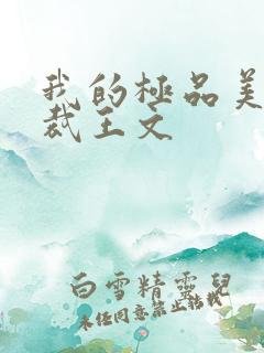 我的极品美女总裁王文