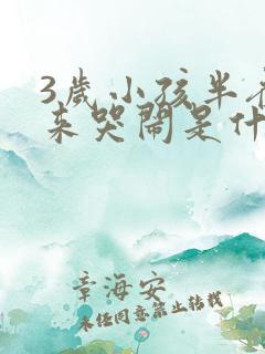 3岁小孩半夜醒来哭闹是什么原因