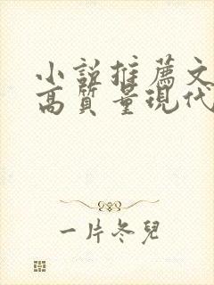 小说推荐文笔好高质量现代言情