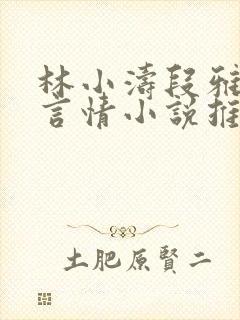 林小涛段雅馨的言情小说推荐完结