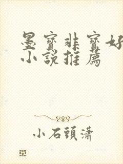 墨宝非宝好看的小说推荐