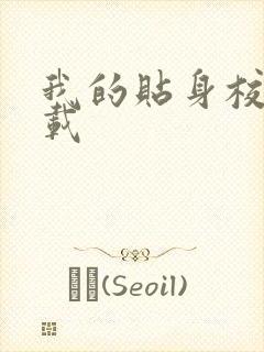 我的贴身校花下载
