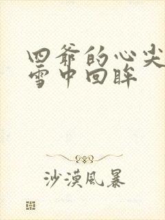 四爷的心尖宠妃雪中回眸