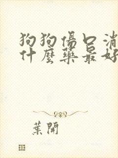 狗狗伤口消炎用什么药最好