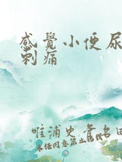 感觉小便尿不尽刺痛