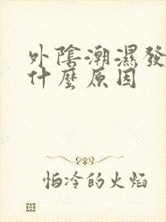 外阴潮湿发痒是什么原因