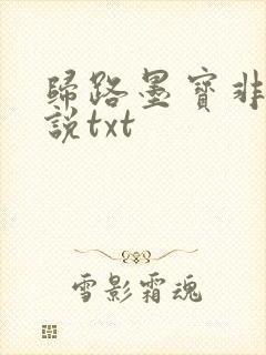归路墨宝非宝小说txt