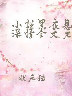 小说黑夜见过他深情全文免费阅读