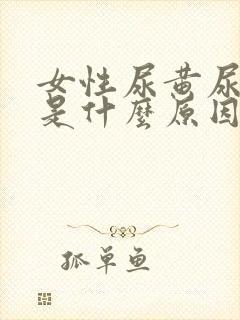 女性尿黄尿浑浊是什么原因