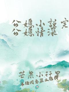 公媳小说完结版公媳情深