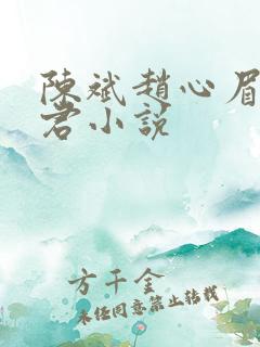 陈斌赵心眉高婉君小说