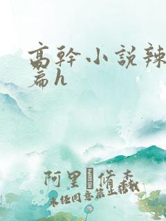 高干小说辣文短篇h