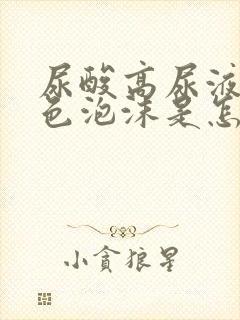 尿酸高尿液有白色泡沫是怎么回事