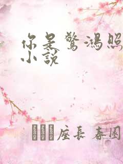 你是惊鸿照影来小说