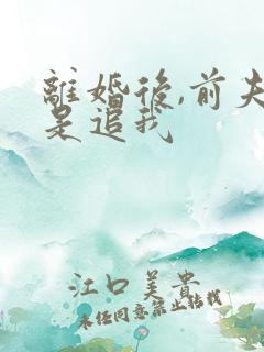 离婚后,前夫总是追我