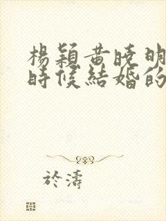 杨颖黄晓明什么时候结婚的