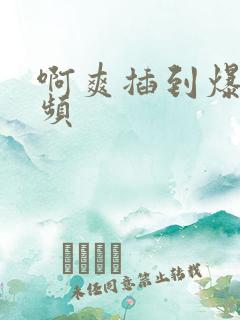 啊爽插到爆了视频