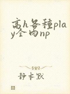 高h各种play全肉np
