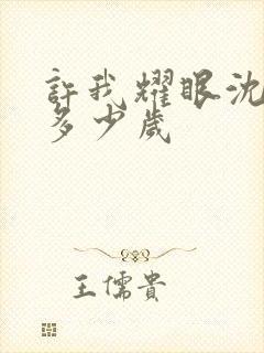 许我耀眼沈皓明多少岁