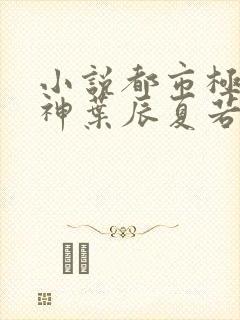 小说都市极品医神叶辰夏若雪孙怡